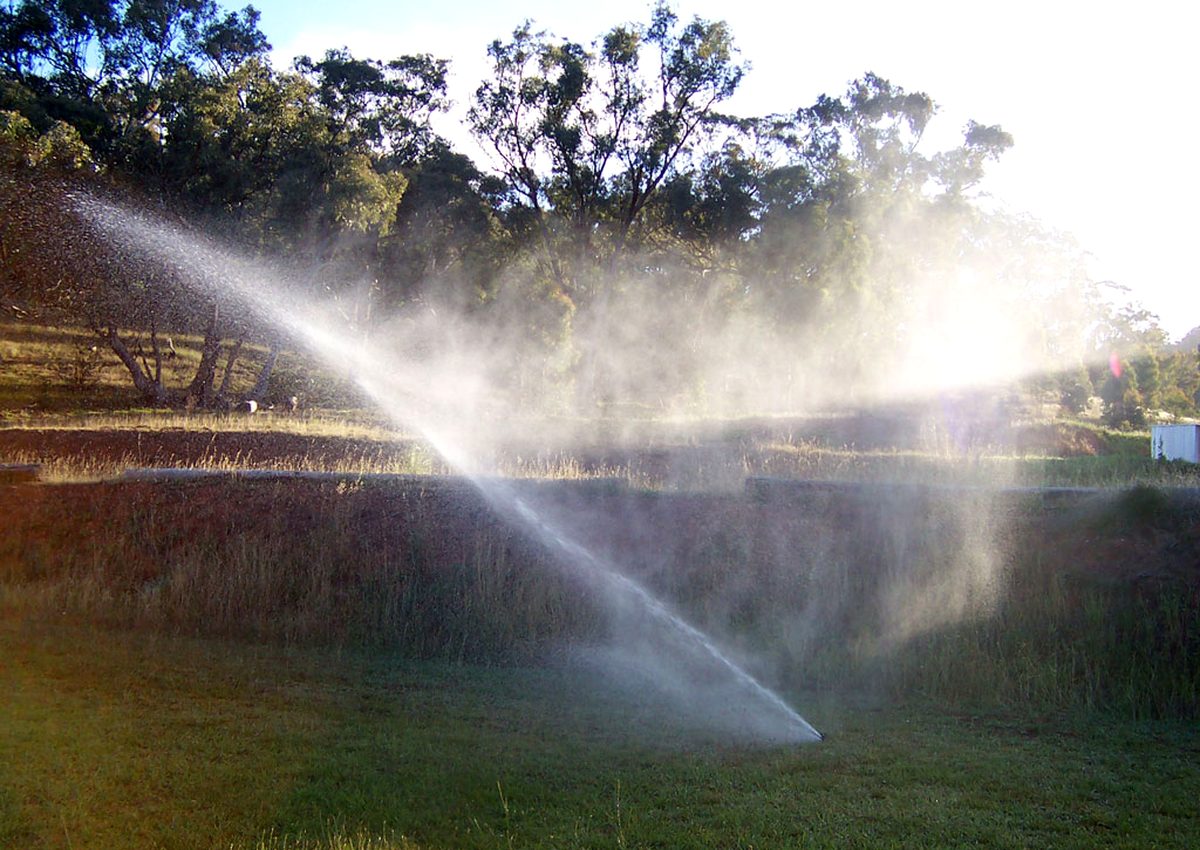 Sprinkler watering a lawn